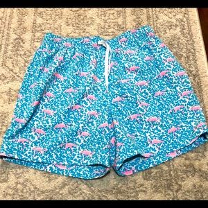 chubbies swim trunks